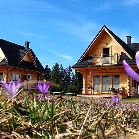 Jedroskowe Chatki Witów Exterior foto