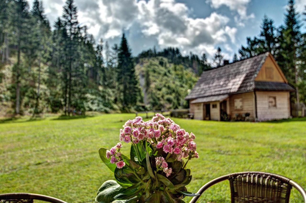 Jedroskowe Chatki Witów Exterior foto