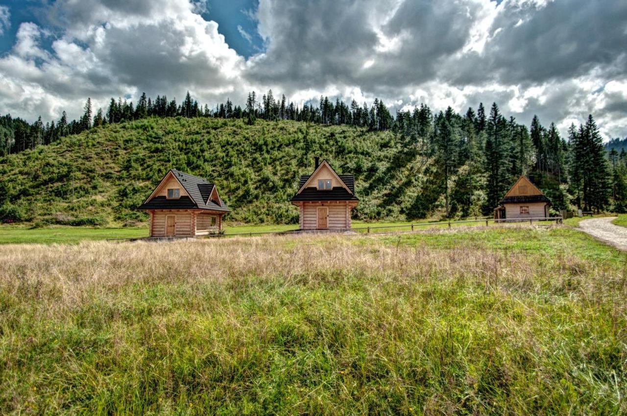 Jedroskowe Chatki Witów Exterior foto