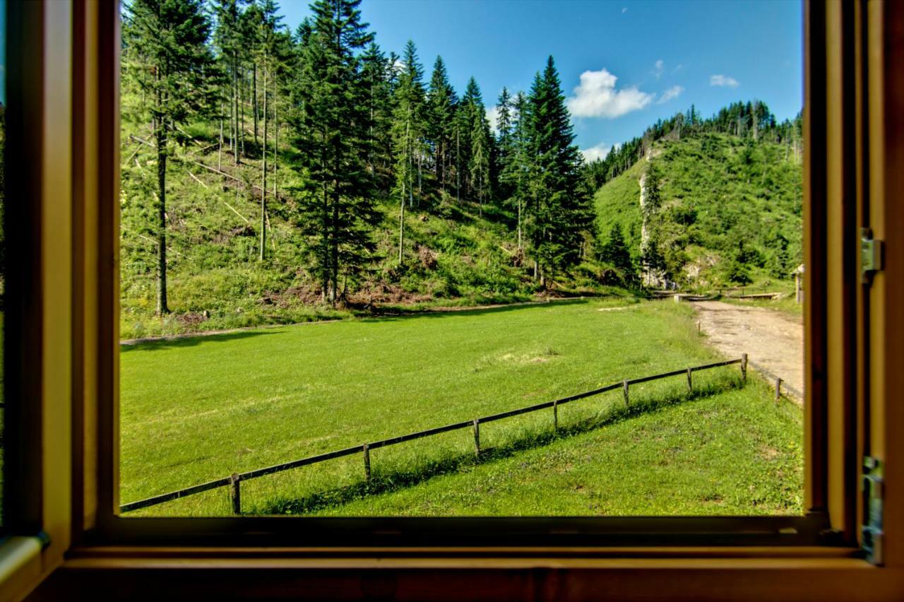 Jedroskowe Chatki Witów Exterior foto
